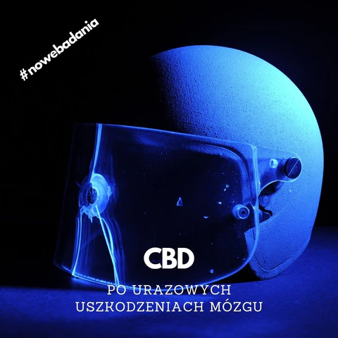 CBD poprawia funkcje poznawcze u ofiar urazowych uszkodzeń mózgu, wyniki nowego badania